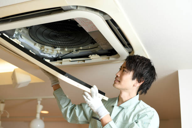 Best Affordable Duct Cleaning Services  in Cayce, SC